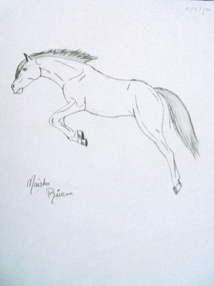 Caballo saltando
