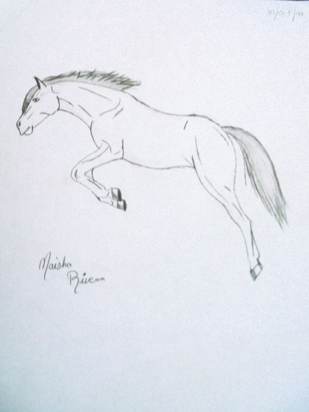 caballo saltando