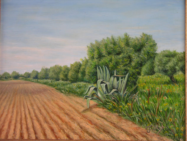 surcos Oil Canvas Landscaping