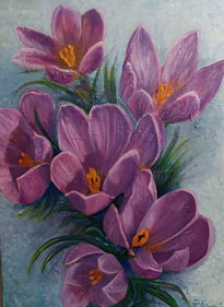 Crocus