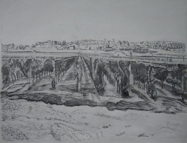 Francia, Viñedo en San Emilion Pencil