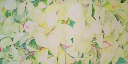 Hortensia del...