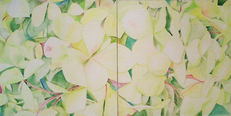Hortensia del...
