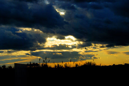 Cielo