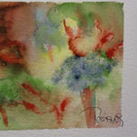 BOSQUES thumbnail 2