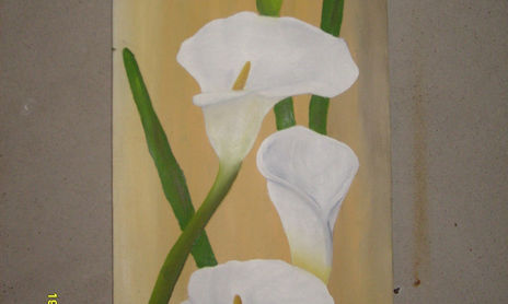 flores