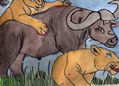 bufalo