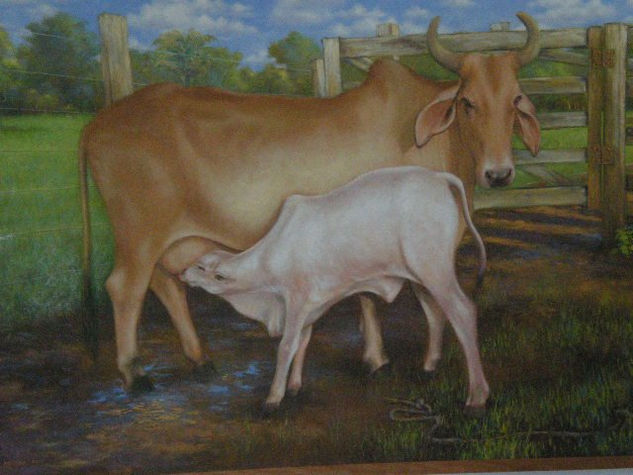 Maternidade bovina 