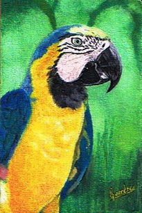 "Guacamaya"