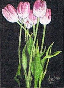 "Tulipanes"