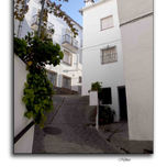 Paisajes thumbnail 1