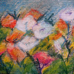 Paisajes y Flores thumbnail 1
