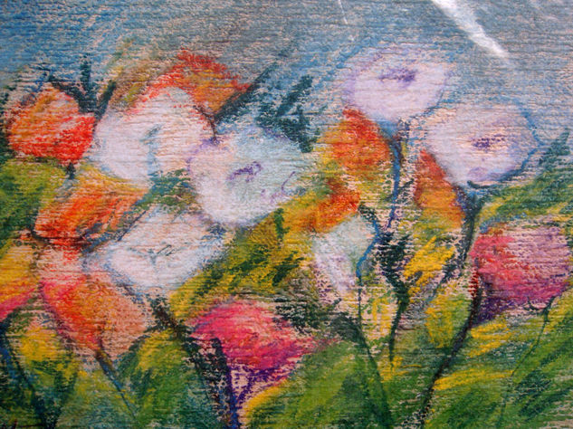 petunias 