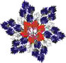 Estrella 2