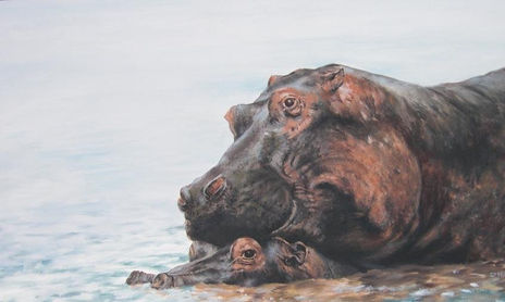 Mundo Animal