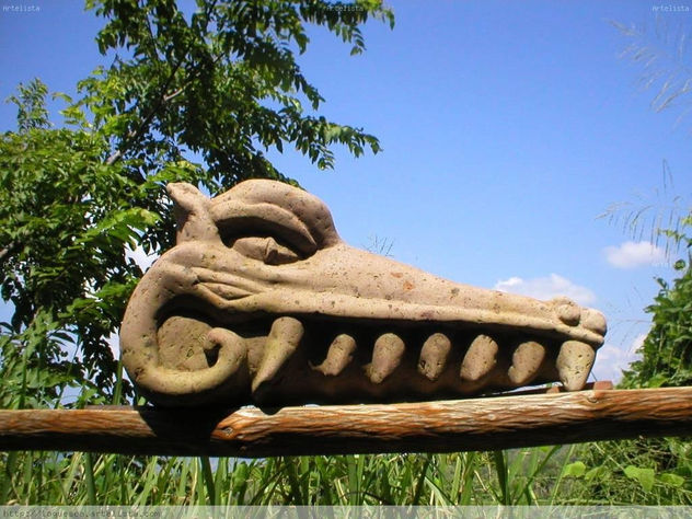 dios caiman