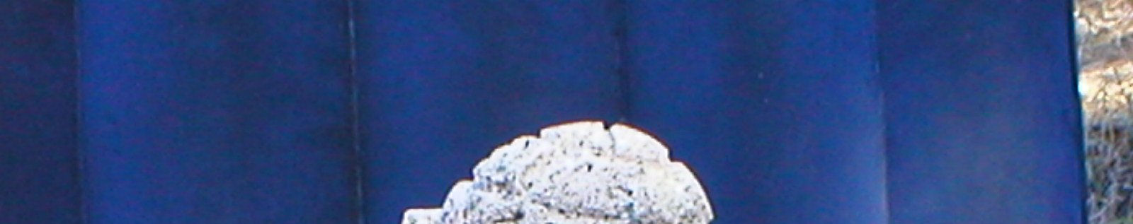 Imagen de portada