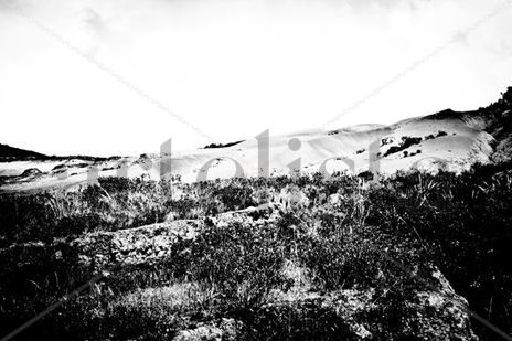 Serie paisajes