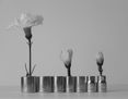 Serie "Natural-Artificial", 2005