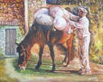 BURRO FARIÑEIRO