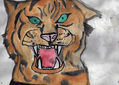 tigre