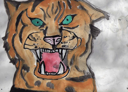 Tigre
