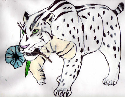 Tigre blanco