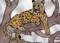 leopardo en un arbol