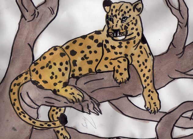 leopardo en un arbol