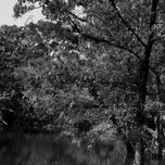 Paisaje thumbnail 1