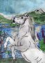 caballo salvaje 2
