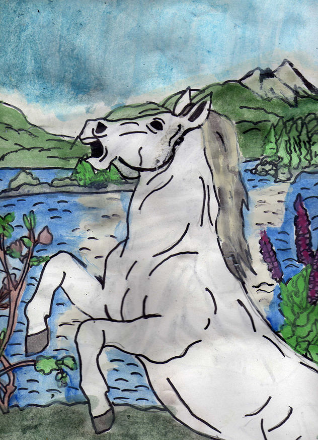 caballo salvaje 2