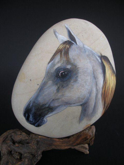 caballo árabe tordo