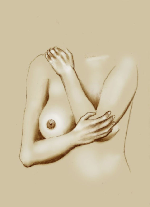 detalle torso