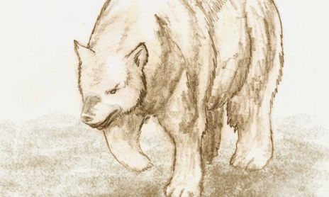 Animales.