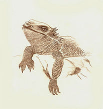 Boceto reptil