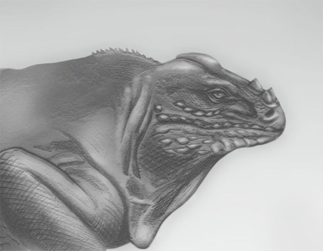 boceto reptil 02