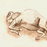 Animales. thumbnail 2