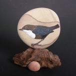 piedras con alma thumbnail 2