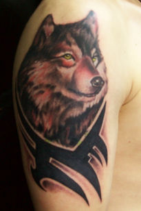Lobo