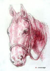 Caballo rojo