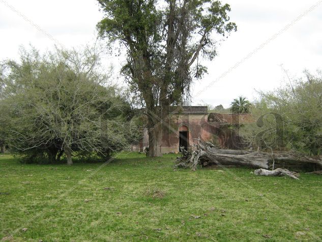 Campo de Doña Margarita Muniz 