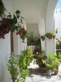 Patio de vejer