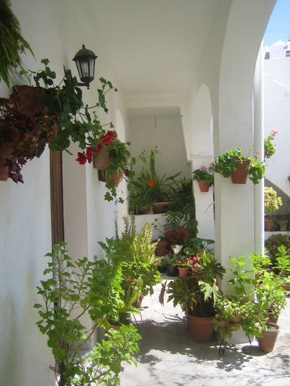 patio de vejer 