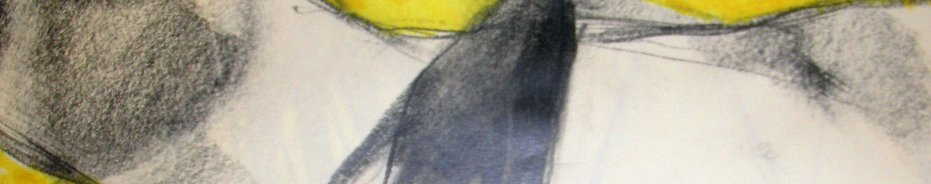 Imagen de portada
