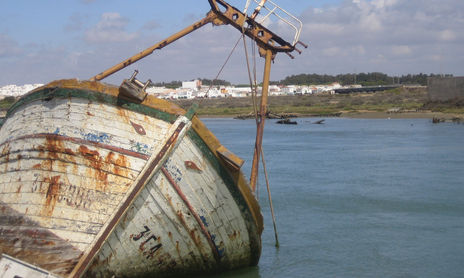 barcos de barbate