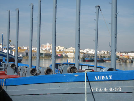 El audaz