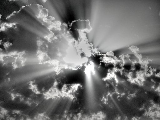 rayos de luz