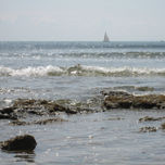 barcos de barbate thumbnail 1