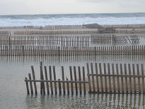 Temporal en tarifa